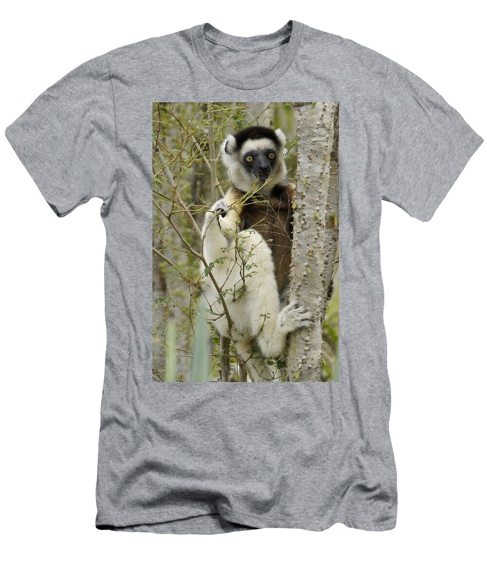 2 Verreauxs Sifaka Michele Burgess T-Shirt