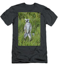 Curious Ring Tail Michele Burgess T-Shirt