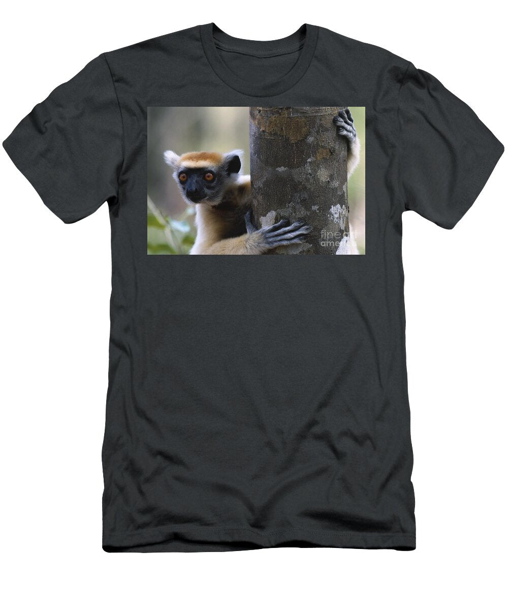 Golden Crowned Sifaka Nick Garbutt T-Shirt