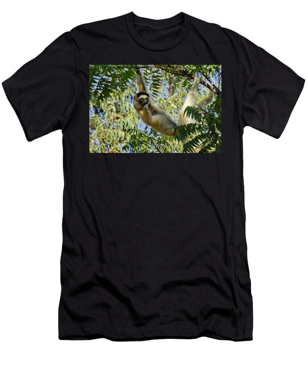 Just Hanging Around Michele Burgess T-Shirt